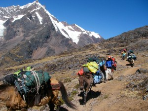 Lares Trek - Saywas Expeditions